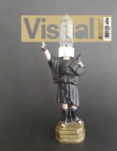 Visual 208