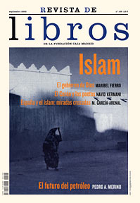 Revista de Libros 105